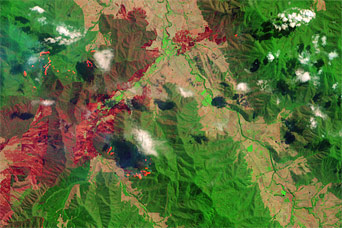 Bushfires in Southeast Australia - related image preview