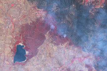 Killmore East-Murrindindi Complex South Fire, Victoria - related image preview