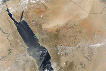 Dust East and West of the Red Sea