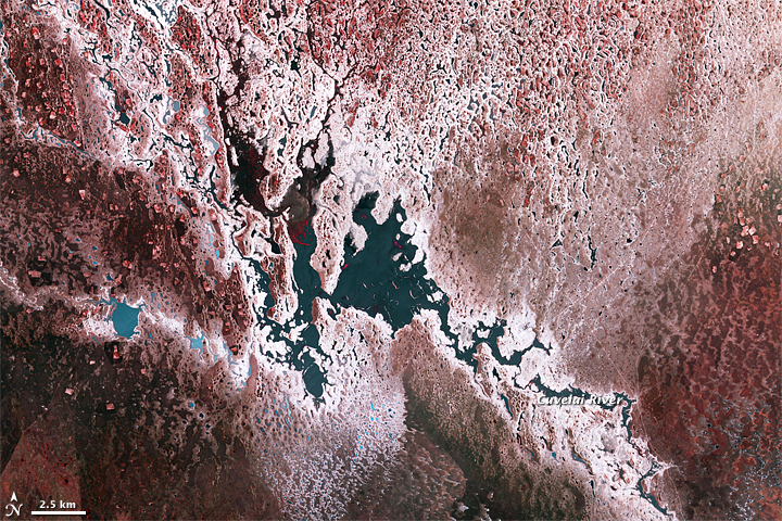 Flooding on the Cuvelai River, Namibia - related image preview
