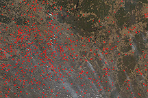 Agricultural Fires in Western Russia