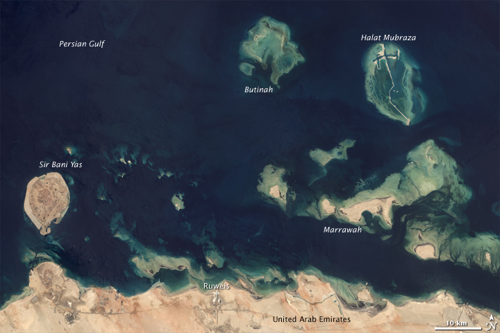 Coral Reefs in the Persian Gulf