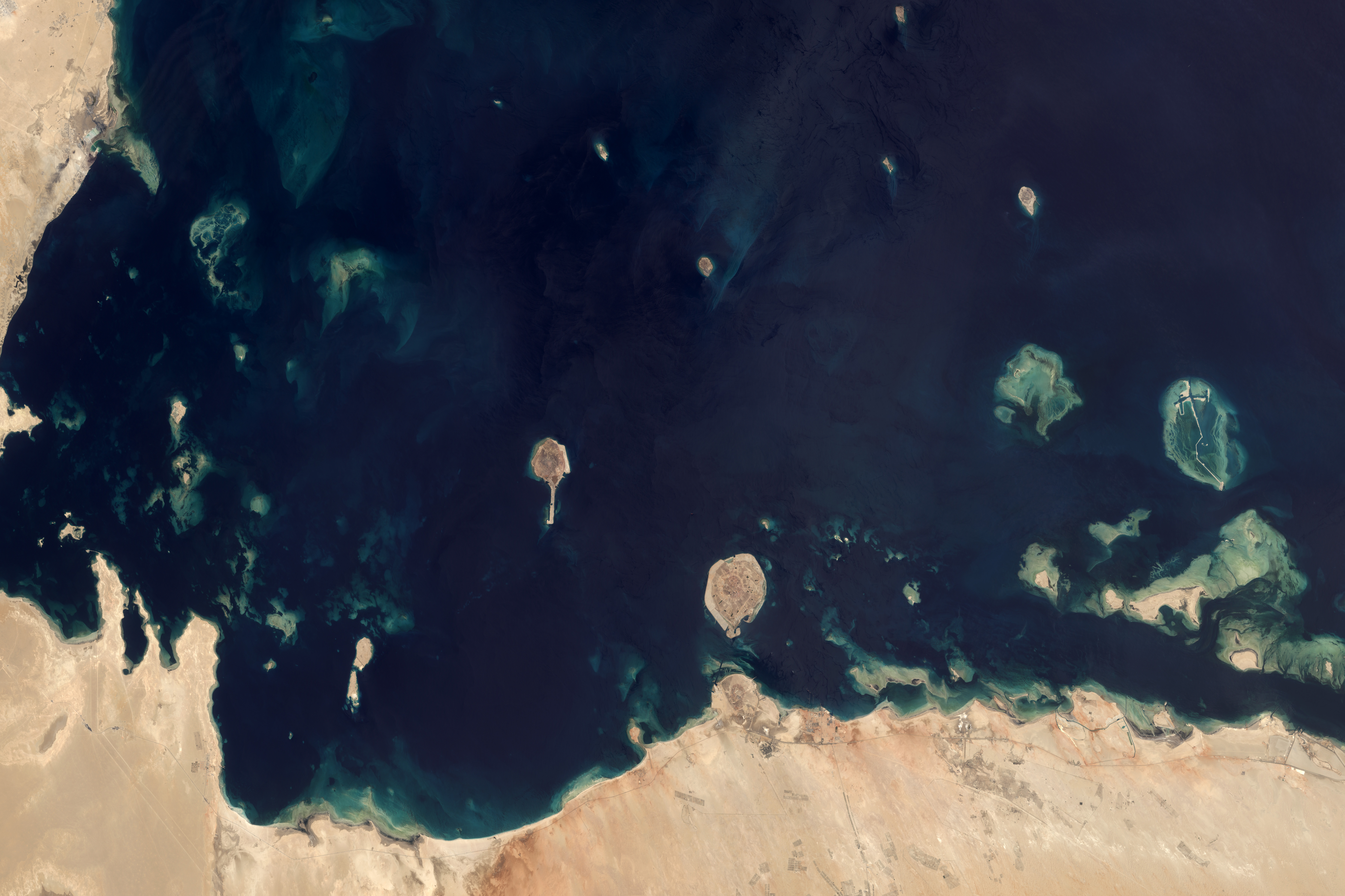 Coral Reefs in the Persian Gulf - related image preview