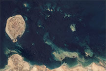 Coral Reefs in the Persian Gulf