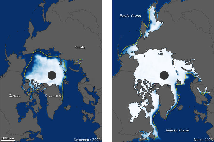 Arctic Sea Ice, 2002-2003 - related image preview