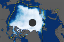 Arctic Sea Ice, 2002-2003