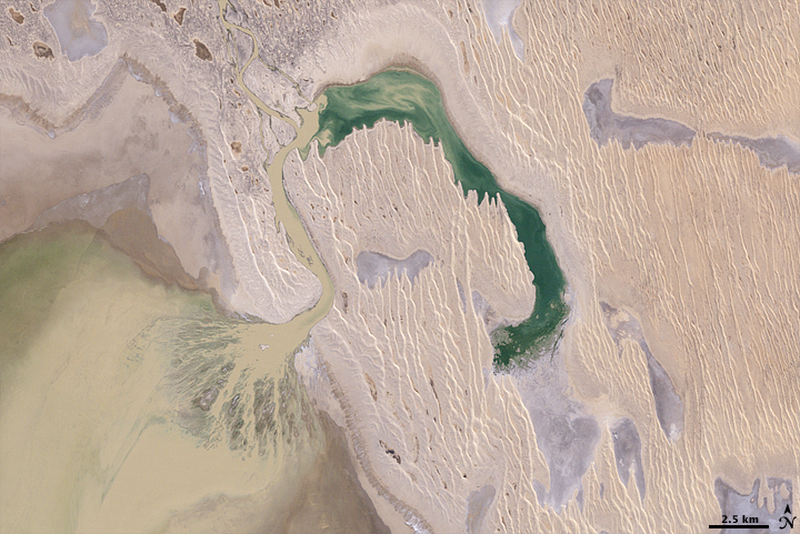 Rare Refill of Lake Eyre, Australia’s Simpson Desert
