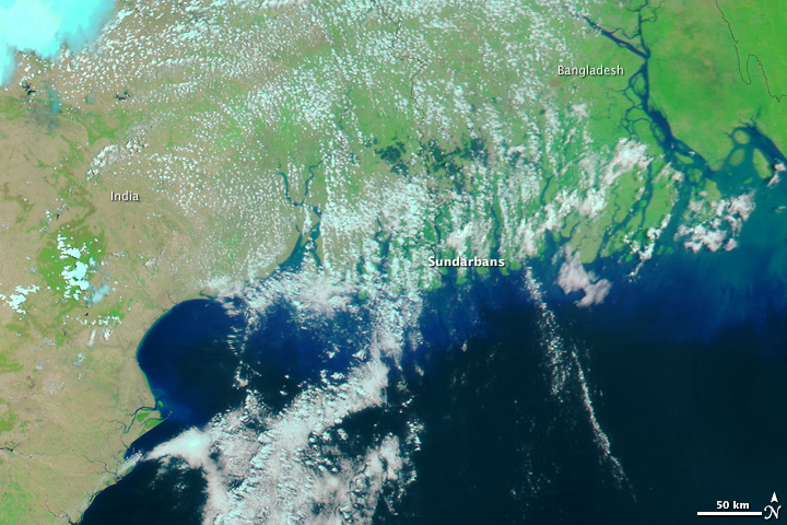 Floods from Cyclone Aila in India and Bangladesh