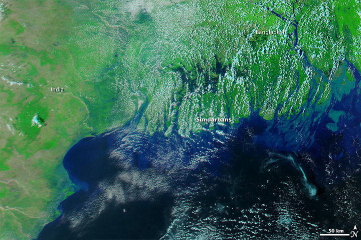 Floods from Cyclone Aila in India and Bangladesh