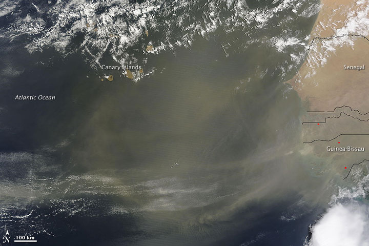 Dust Plumes off the West Coast of Africa