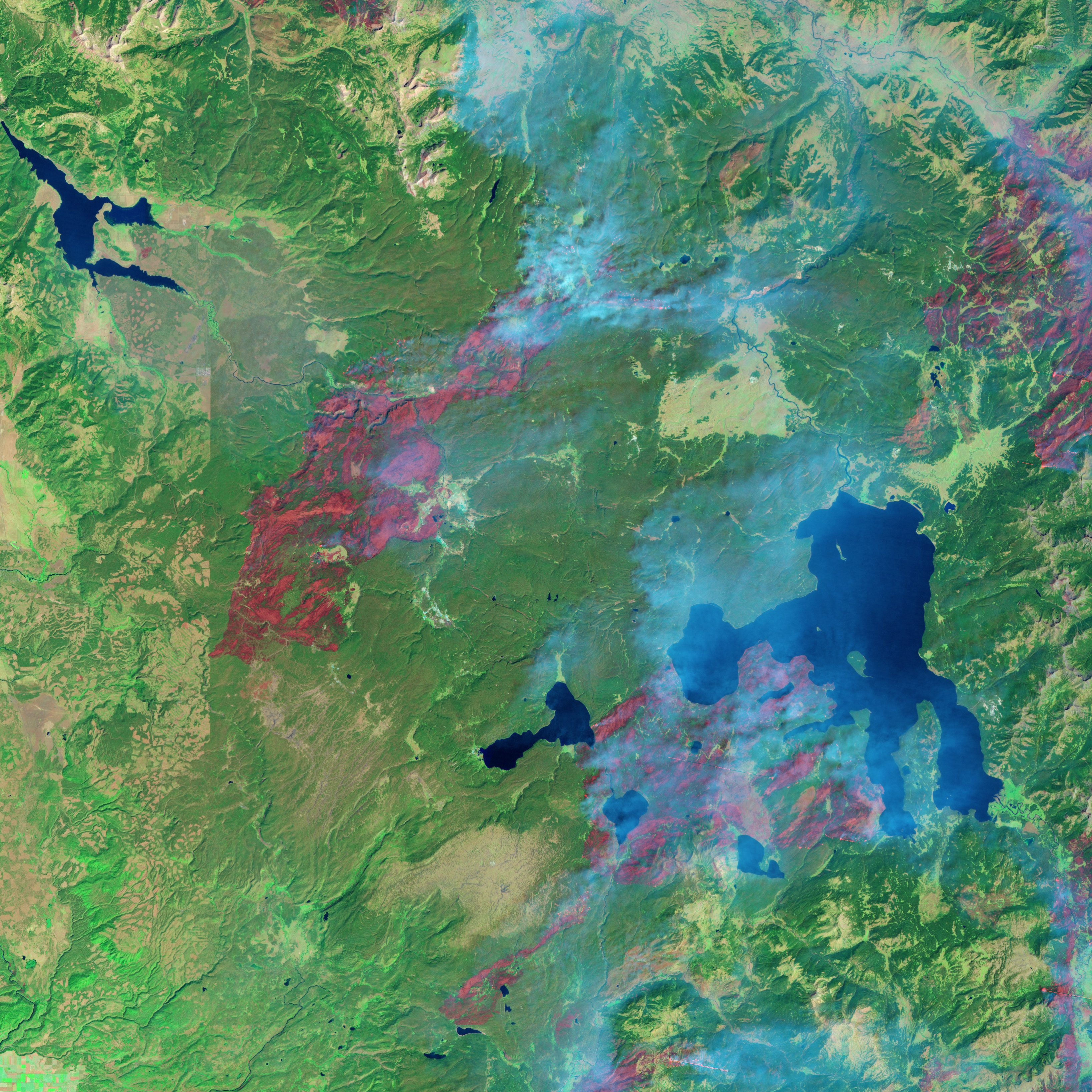 Yellowstone Recovers from 1988 Fires - related image preview