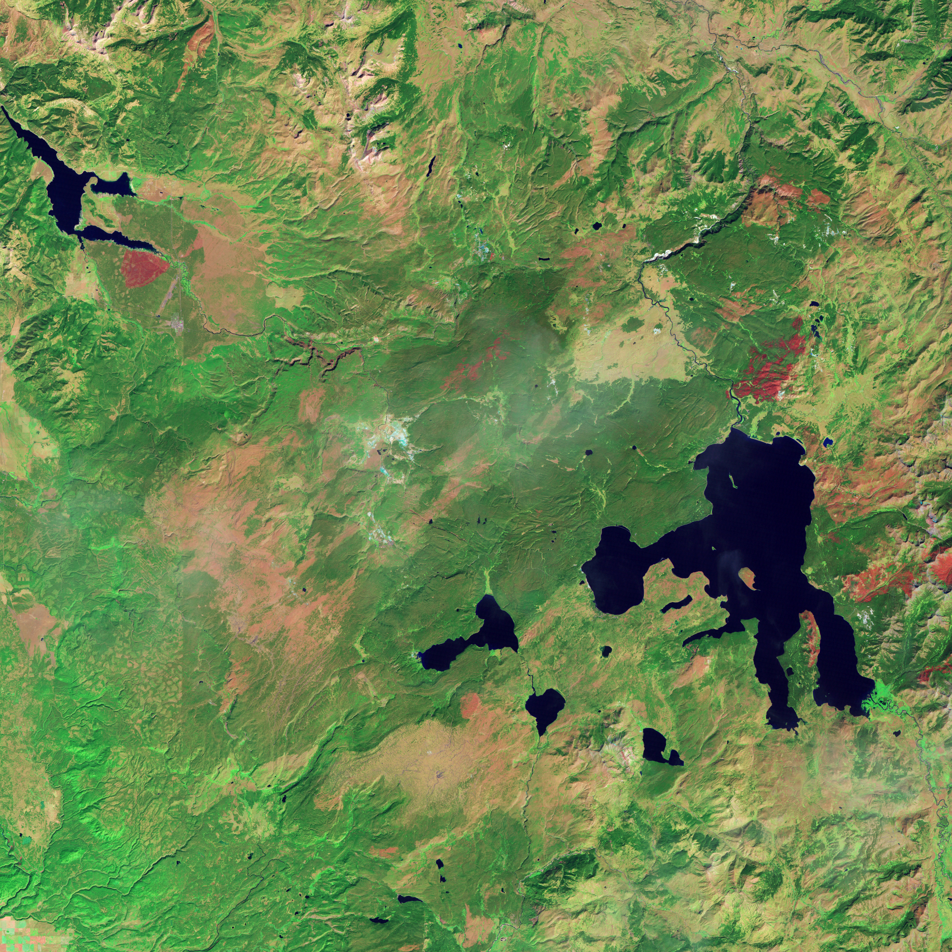 Yellowstone Recovers from 1988 Fires - related image preview