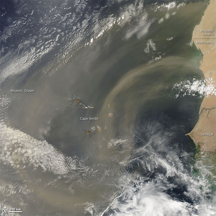 Dust Plumes off the West Coast of Africa