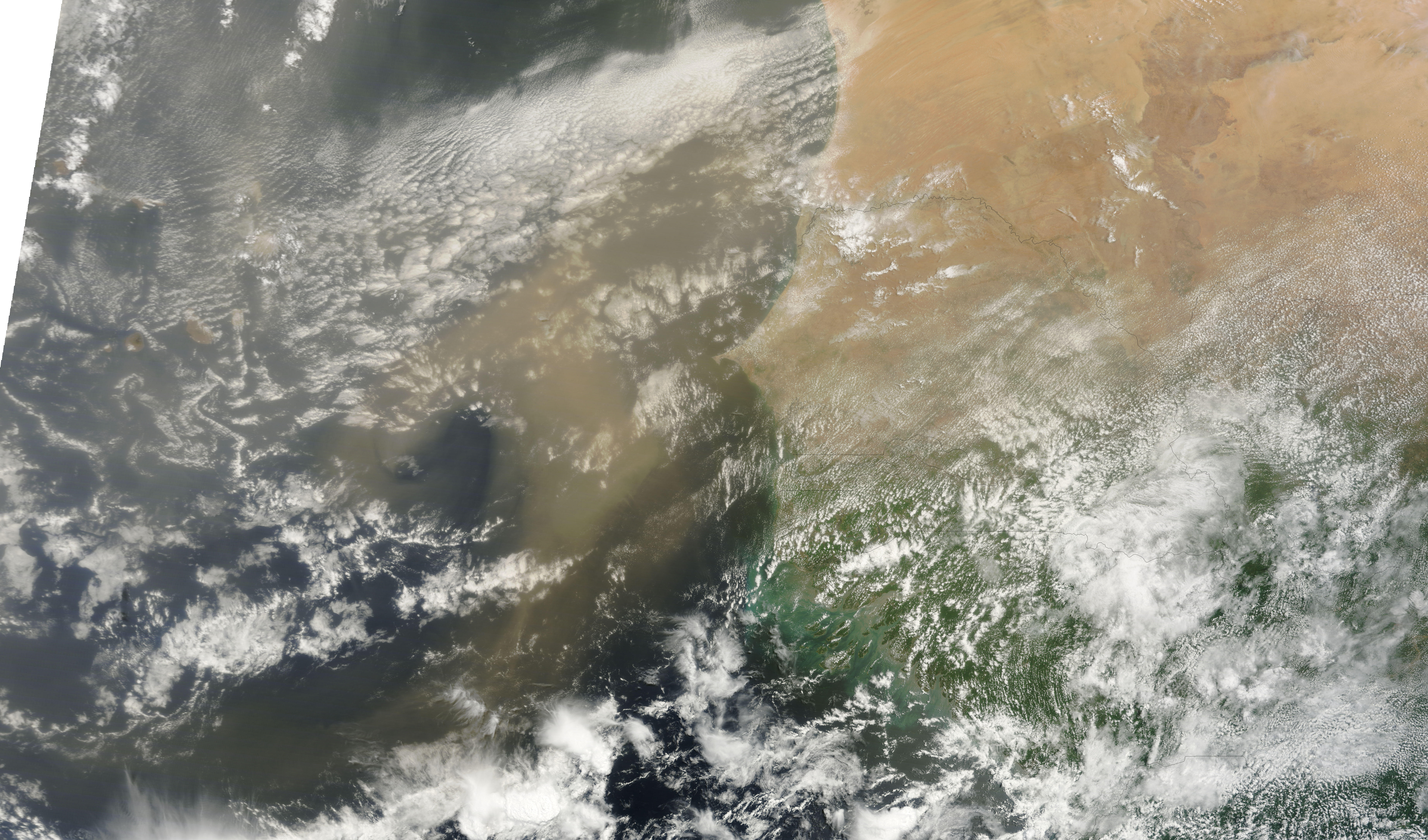 Dust Plumes off West Africa - related image preview