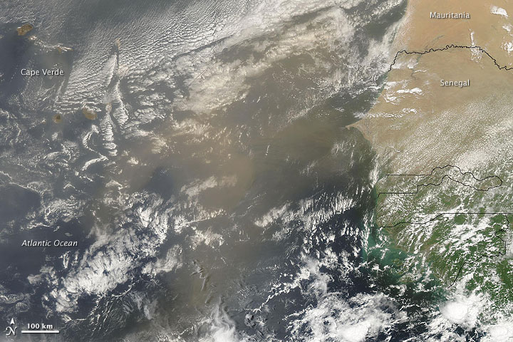 Dust Plumes off West Africa