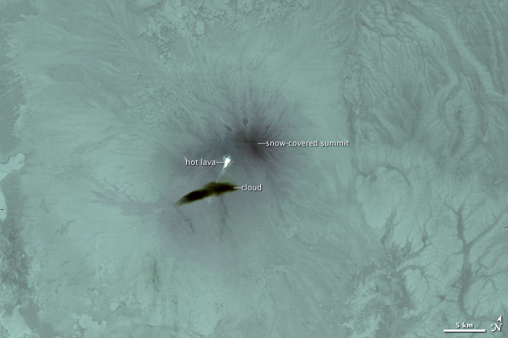 Activity at Shiveluch Volcano