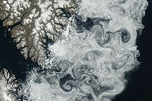 Sea Ice off Baffin Island