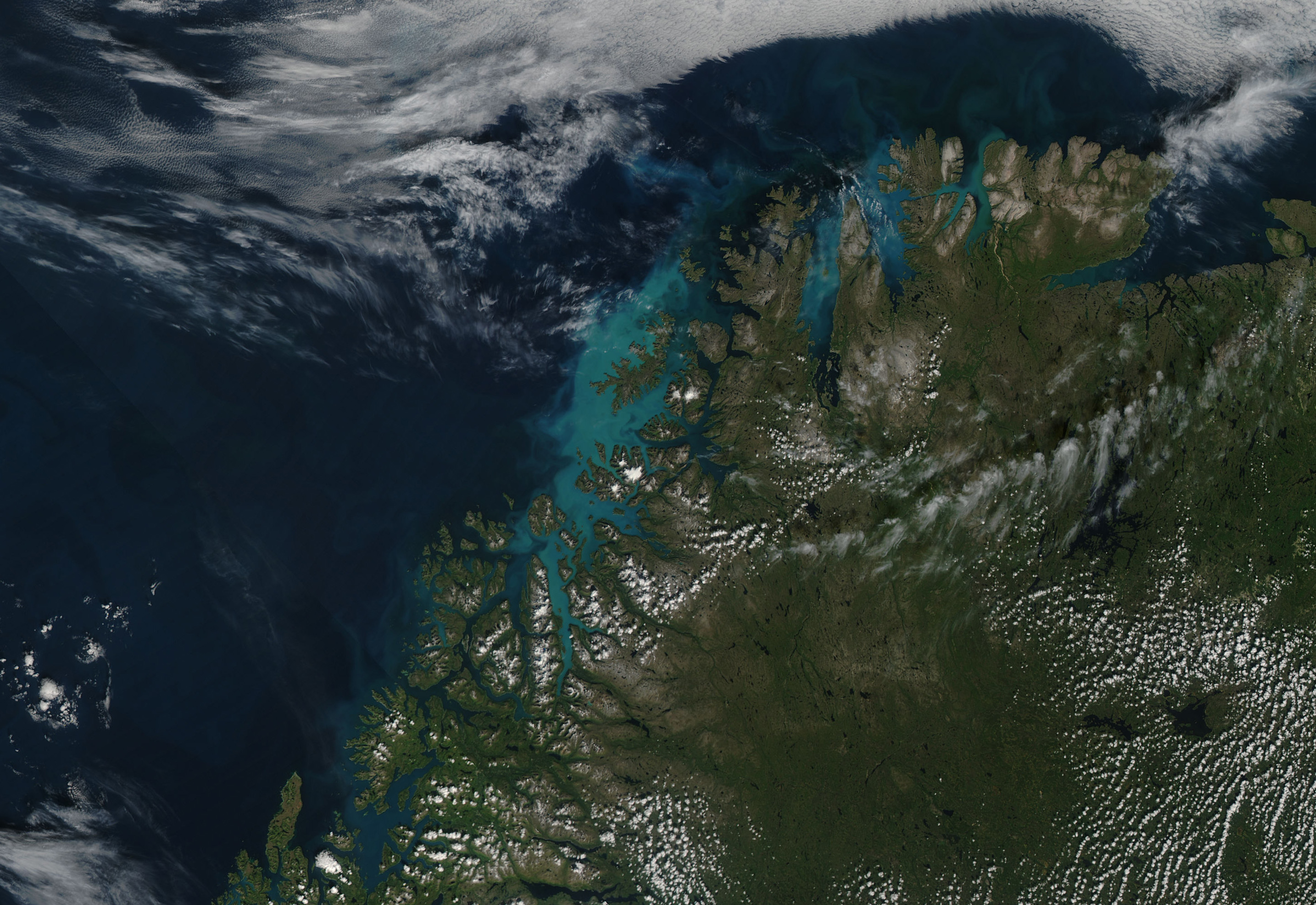 Bloom in the Norwegian Sea - related image preview