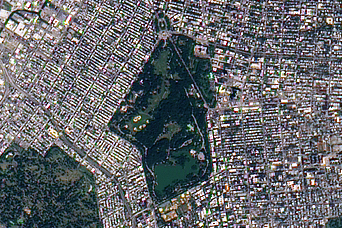 Prospect Park, Brooklyn - related image preview
