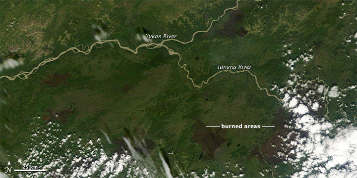 Burn Scars Near Confluence of Yukon and Tanana Rivers, Alaska - related image preview