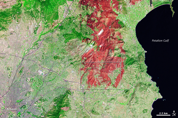 Burn Scar Near Athens, Greece - related image preview