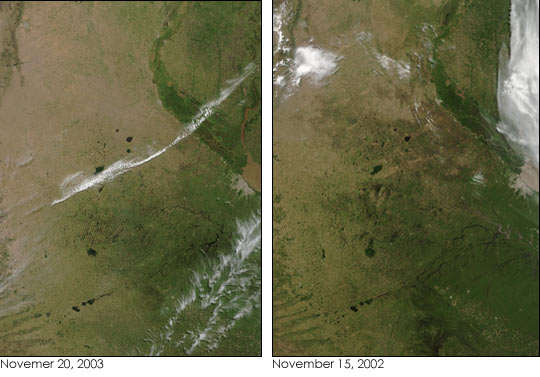 Dry Soil Delays Summer Planting In Argentina