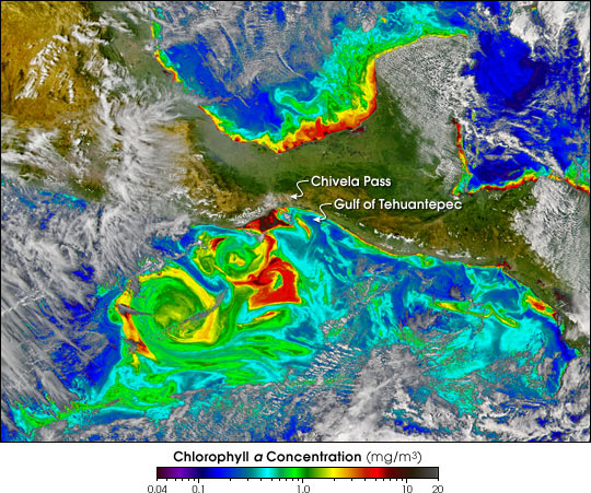 Tehuano Wind Colors the Ocean - related image preview