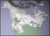 North American Snow Cover