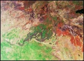 Greener Pastures in Northern  Queensland, Australia 