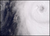 Tropical Cyclone Monty Strikes Western Australia 