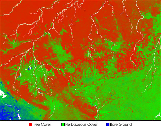 Deforestation Patterns in the Amazon