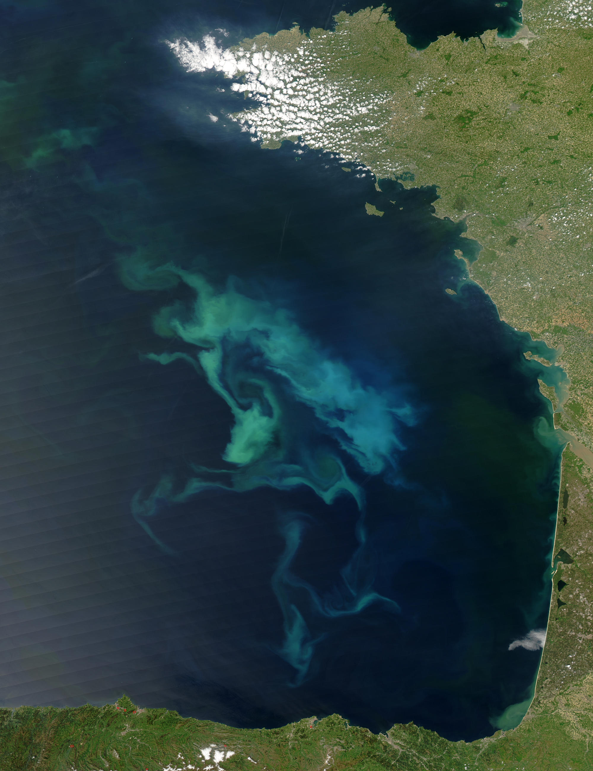 Bay of Biscay in Bloom  - related image preview