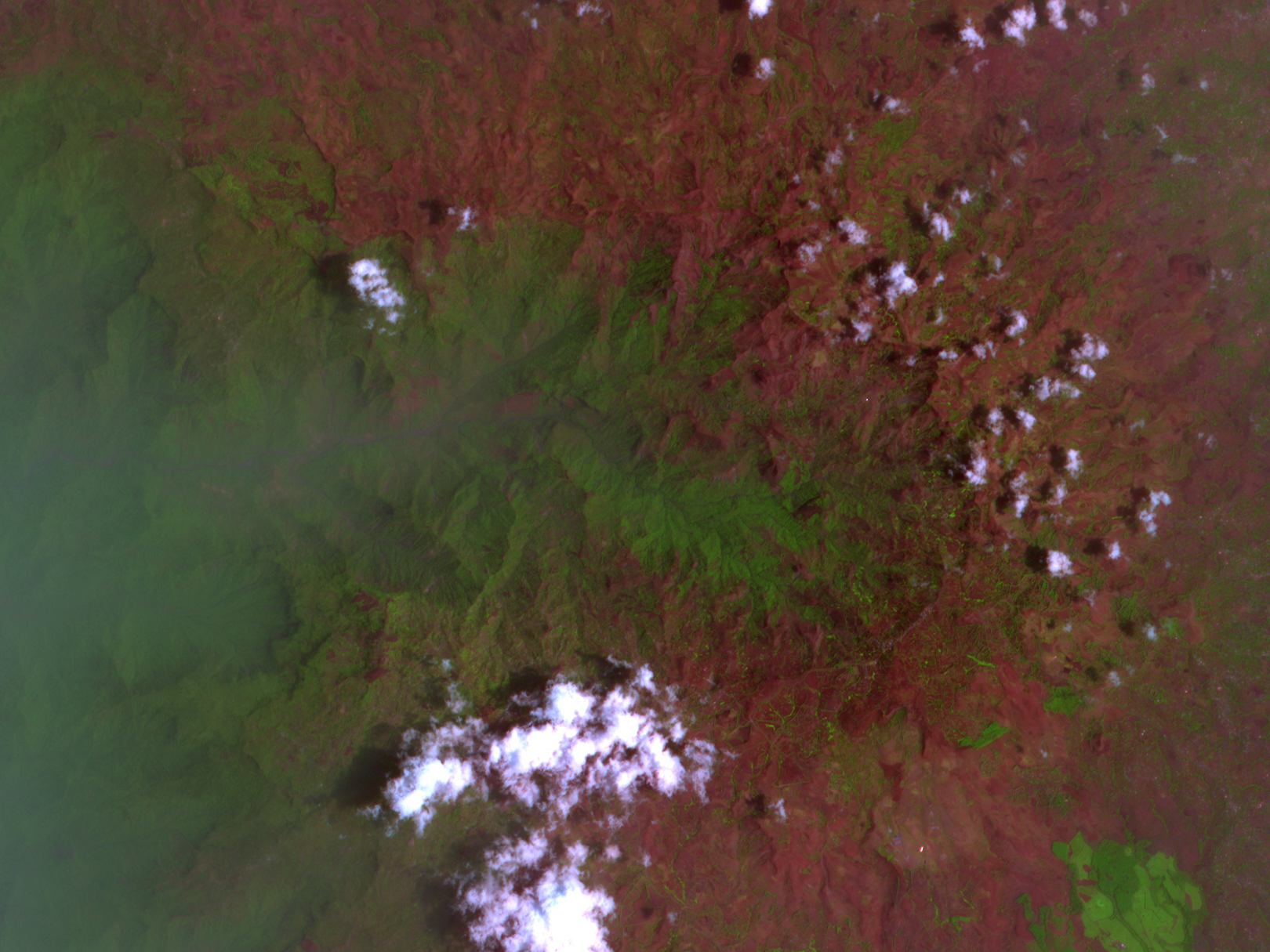Landslides in Cameroon - related image preview