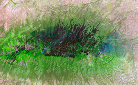 Peppin Fire Burn Scar