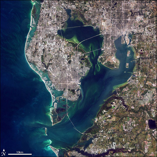 Tampa Bay, Florida - related image preview