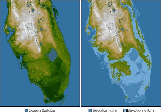 Elevation of Southern Florida - selected child image