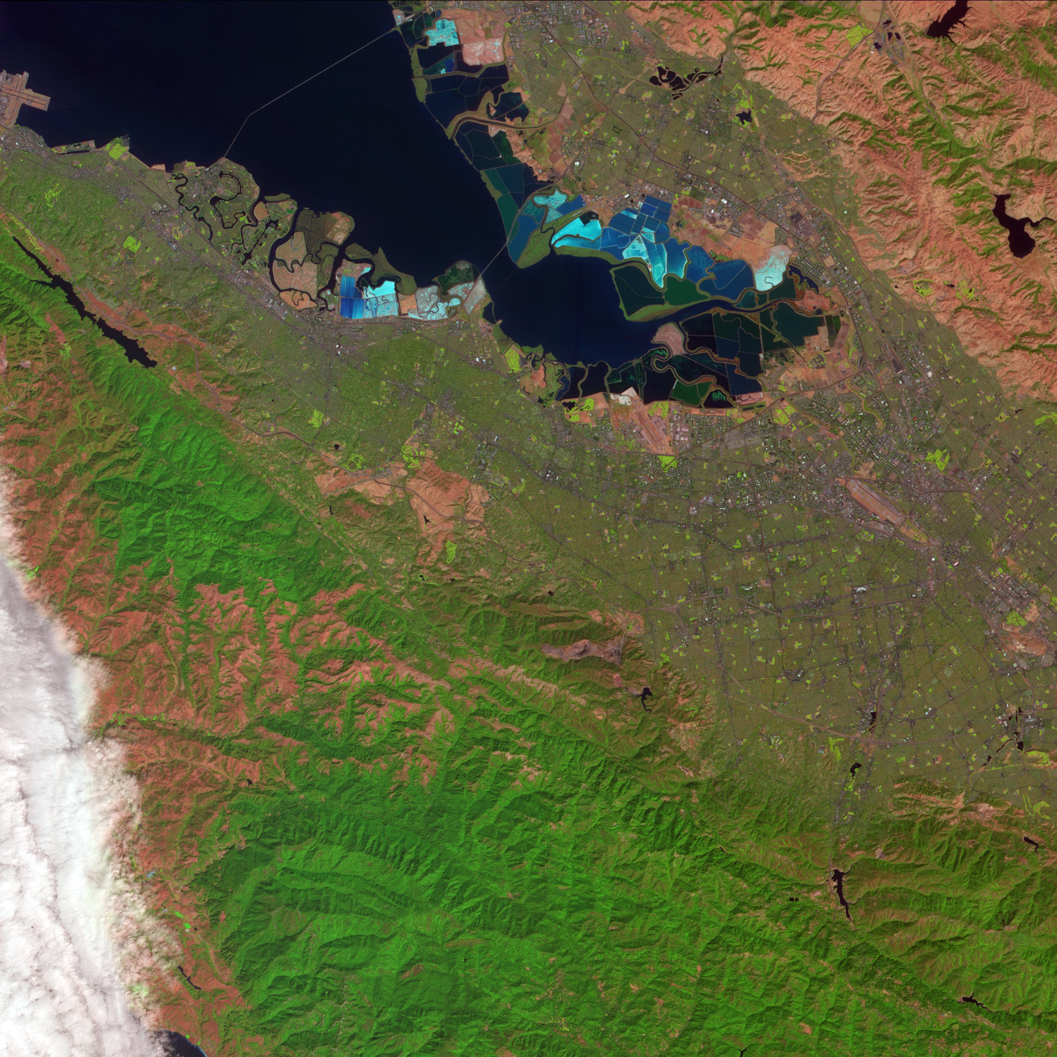 Salt Ponds in San Francisco Bay - related image preview