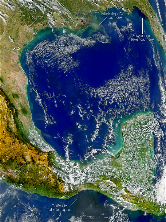 River Plumes in the Gulf of Mexico