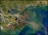 River Plumes in the Gulf of Mexico