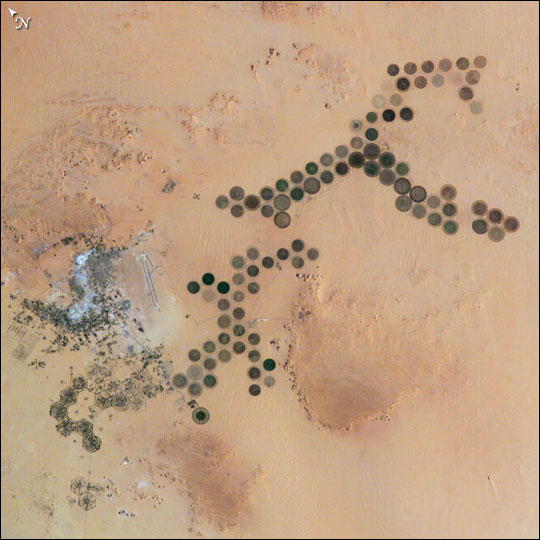 Green Circles—Al Khufrah Oasis, Libya