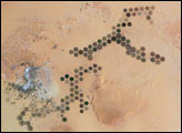 Green Circles—Al Khufrah Oasis, Libya