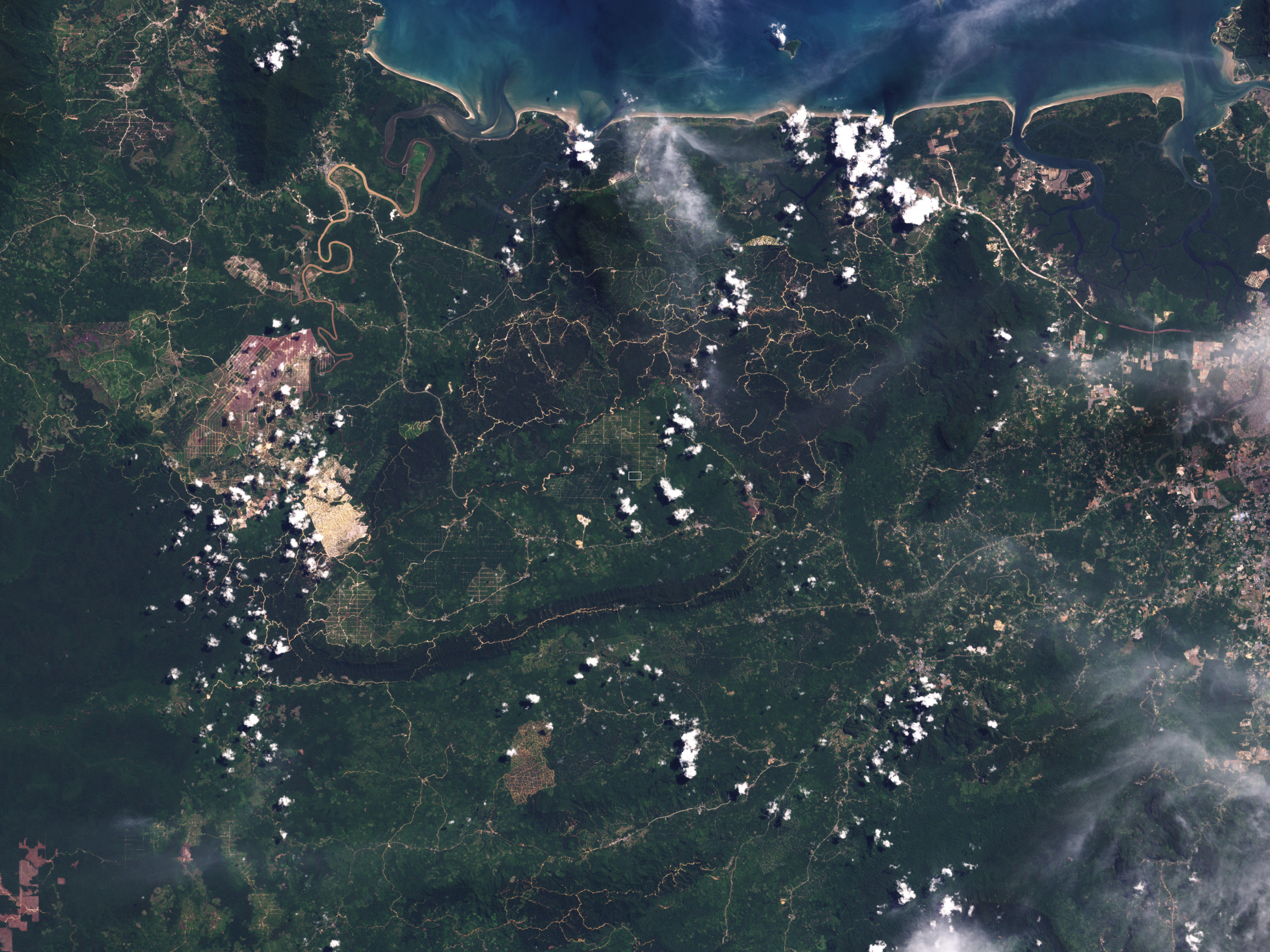 Deforestation in Malaysian Borneo - related image preview