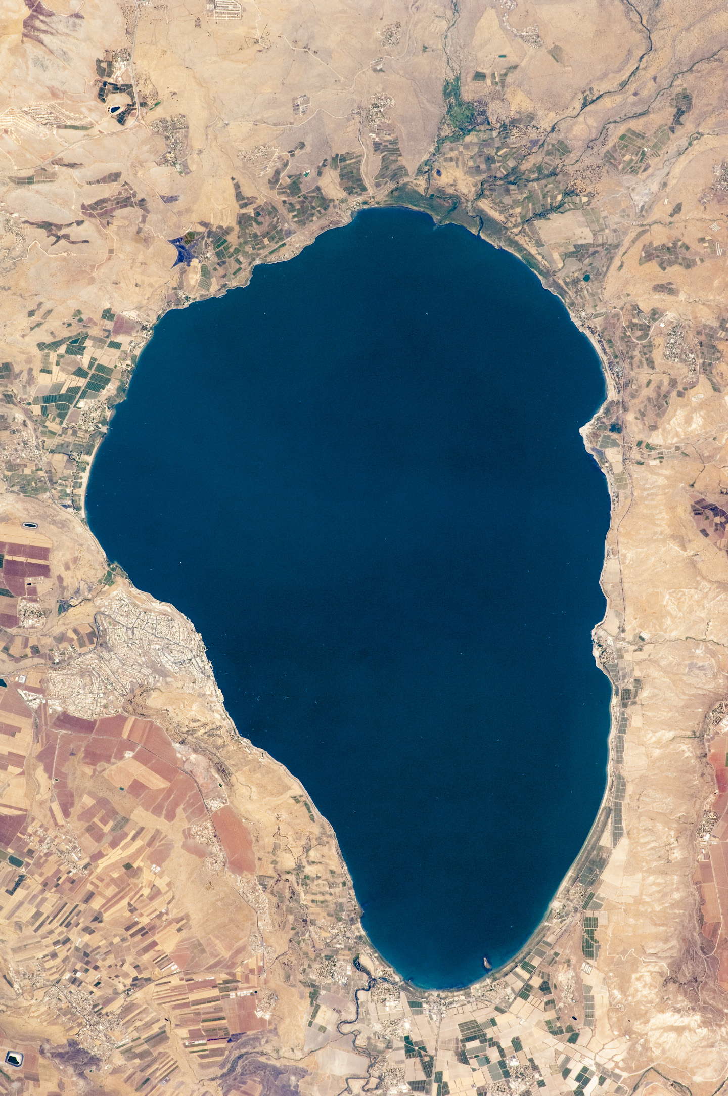 Lake Tiberias (Sea of Galilee), Northern Israel - related image preview