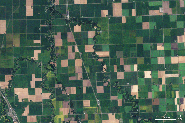 Farmland seen from space, in Minnesota.