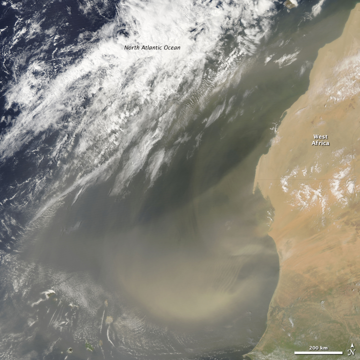 Saharan Dust over the Atlantic 
