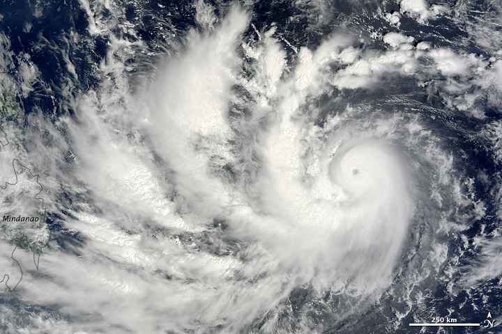 Typhoon Parma