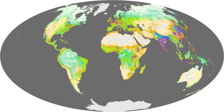 Human Ecosystems - related image preview