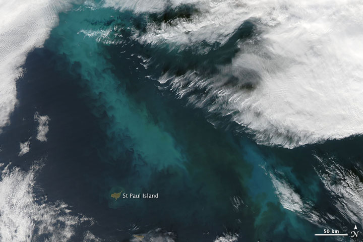 Phytoplankton Bloom in the Bering Sea