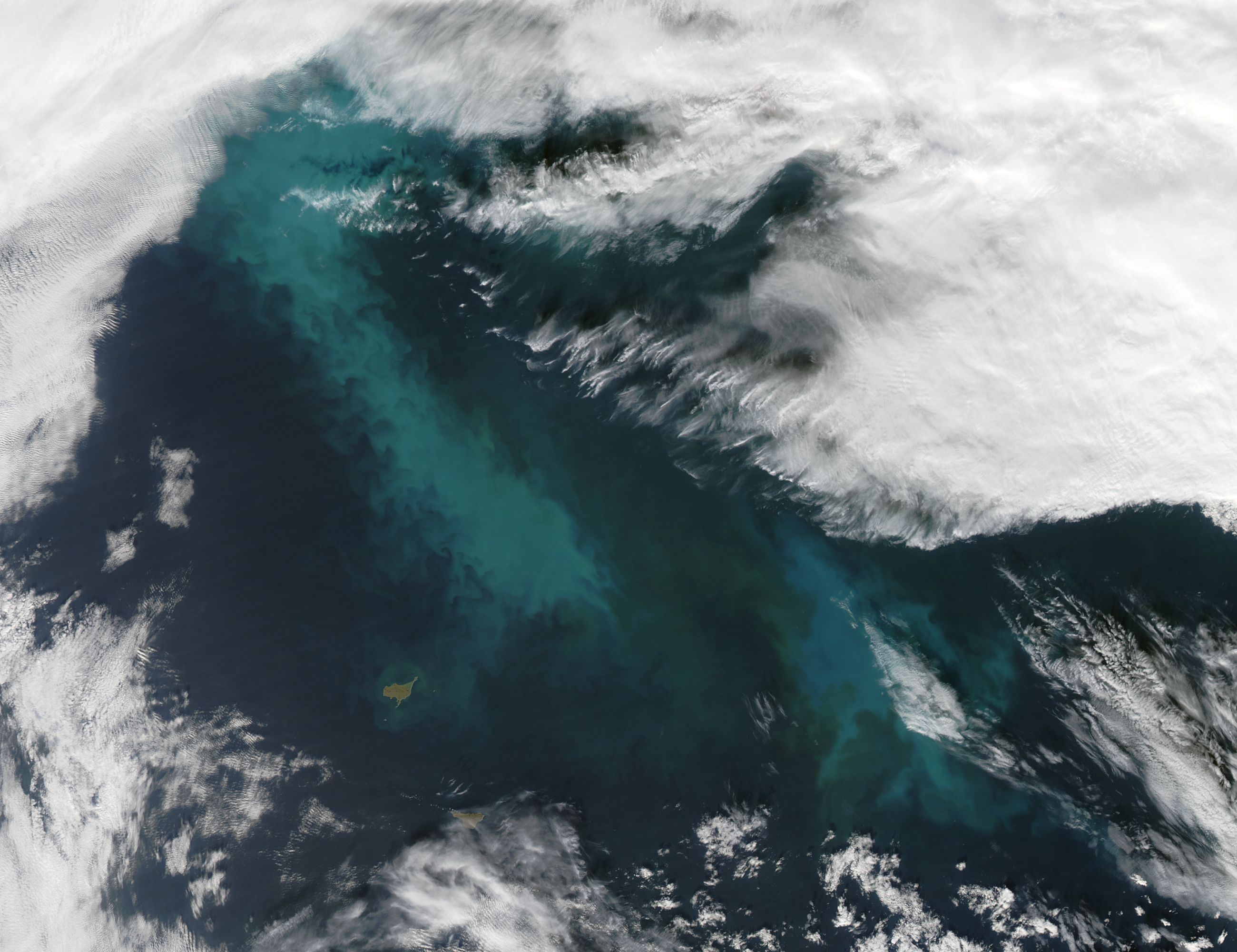 Phytoplankton Bloom in the Bering Sea - related image preview
