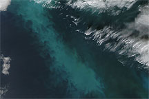 Phytoplankton Bloom in the Bering Sea